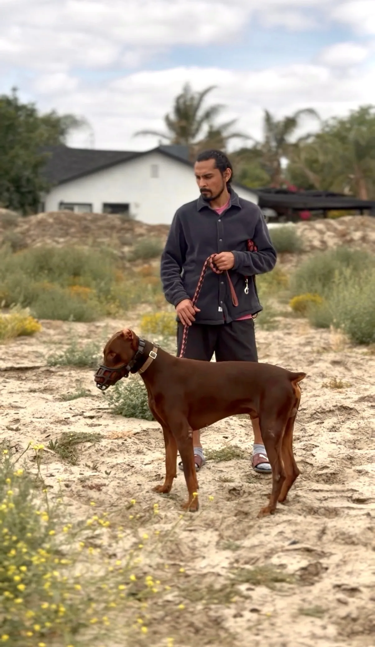 Reactive Dog Intensive Training